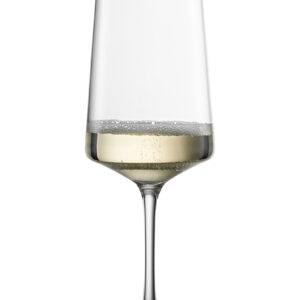 ECHO CHAMPAGNE MP 77 EV4
