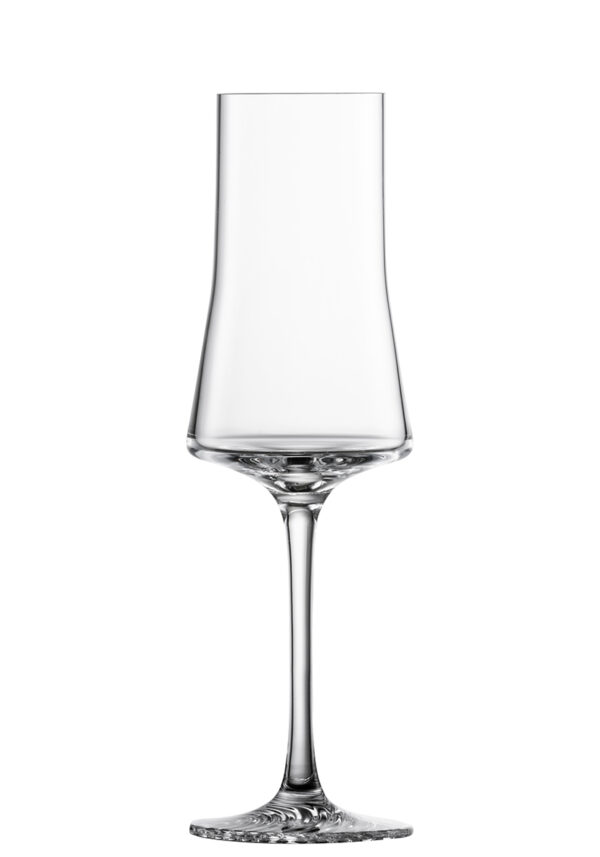 ECHO GRAPPA 155 EV4