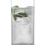 ECHO LONGDRINK 79 EV4