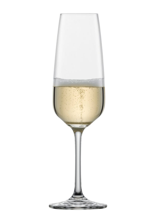 TULIP CHAMPAGNE MP 7 EV4