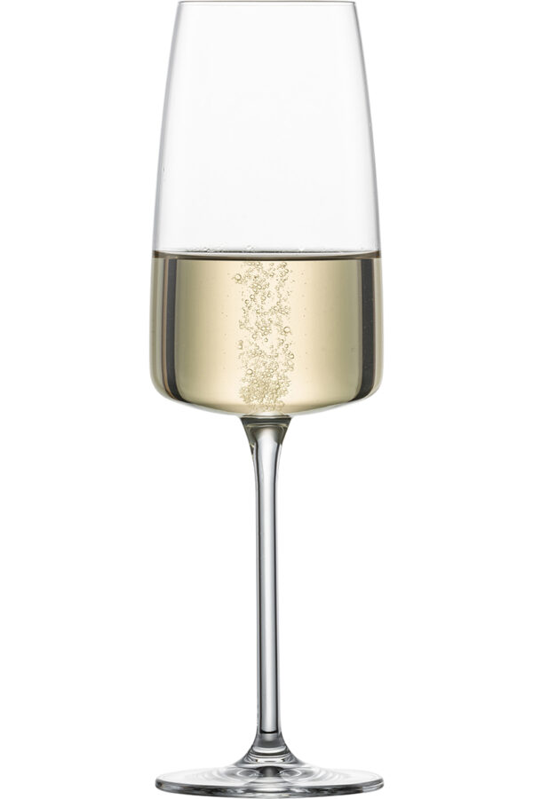 VIVID SENSES CHAMPAGNE MP 77 EV2