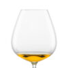 BAR SPECIAL COGNAC XXL 45 EV4