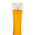 BEER BASIC WHEAT BEER MP 0,5L EV4