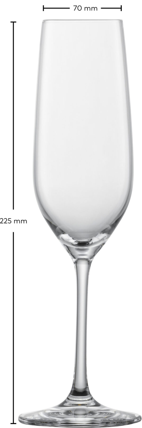 FORTE CHAMPAGNE MP 7 EV4