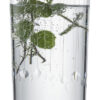 GLAMOROUS LONGDRINK 79 EV2