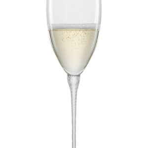 HIGHNESS CHAMPAGNE MP 77 EV2