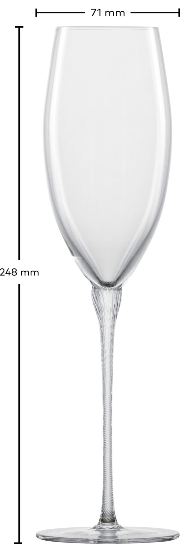 HIGHNESS CHAMPAGNE MP 77 EV2