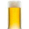 SIMPLE BIERBEKER 42 EV6