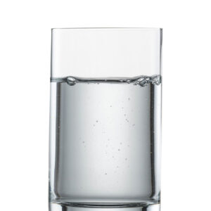 SIMPLE WATERBEKER 12 EV6