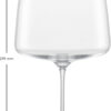 SIMPLIFY FLUWEELZACHT & WEELDERIG 140 EV2