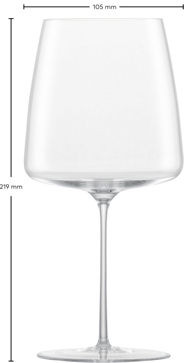 SIMPLIFY FLUWEELZACHT & WEELDERIG 140 EV2