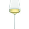 THE MOMENT (WCS) CHAMPAGNE MP 77 EV2