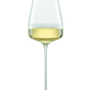 THE MOMENT (WCS) CHAMPAGNE MP 77 EV2