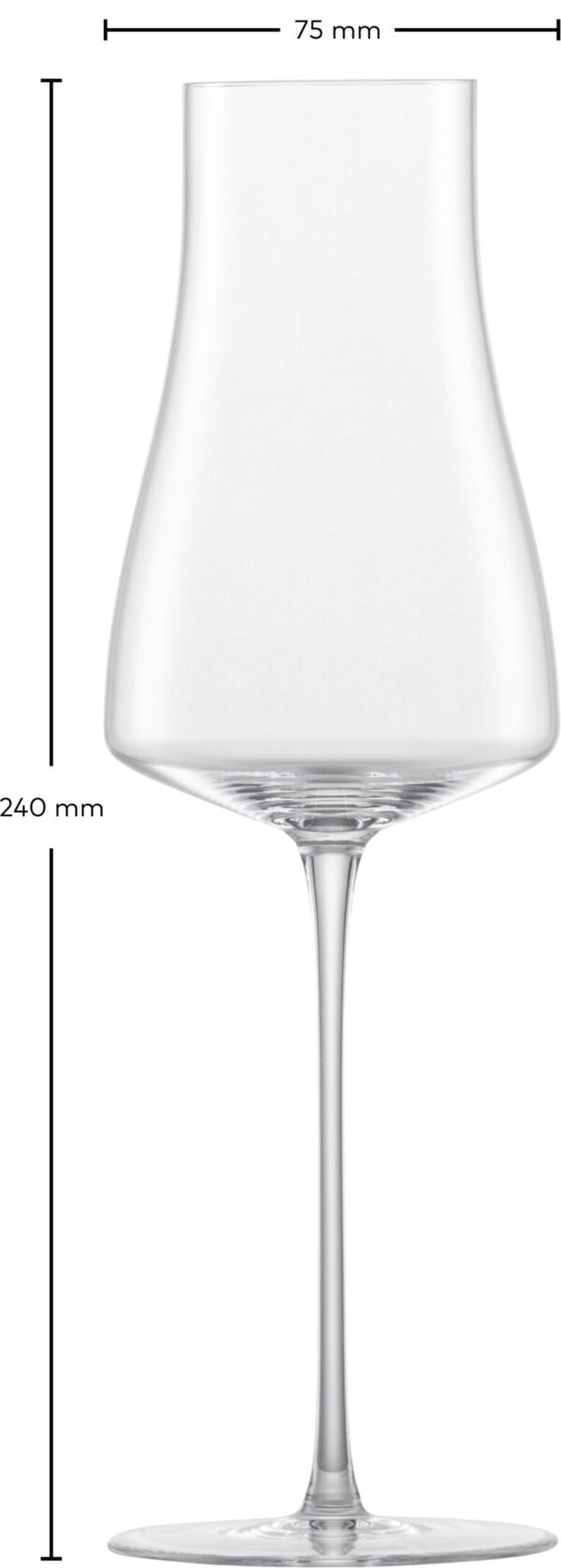 THE MOMENT (WCS) CHAMPAGNE BLANC DE BLANC MP 771 EV2