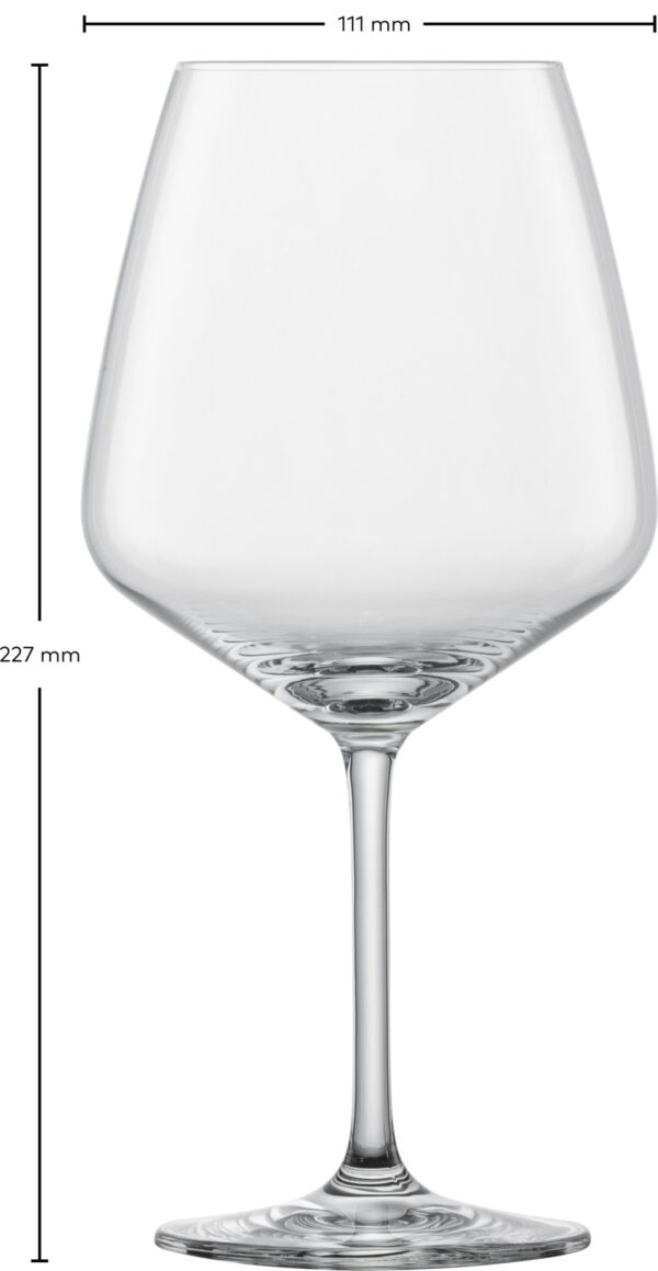 TULIP BURGUNDER 140 EV4