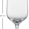 TULIP CHAMPAGNE MP 7 EV4