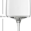 VIVID SENSES CHAMPAGNE MP 77 EV2